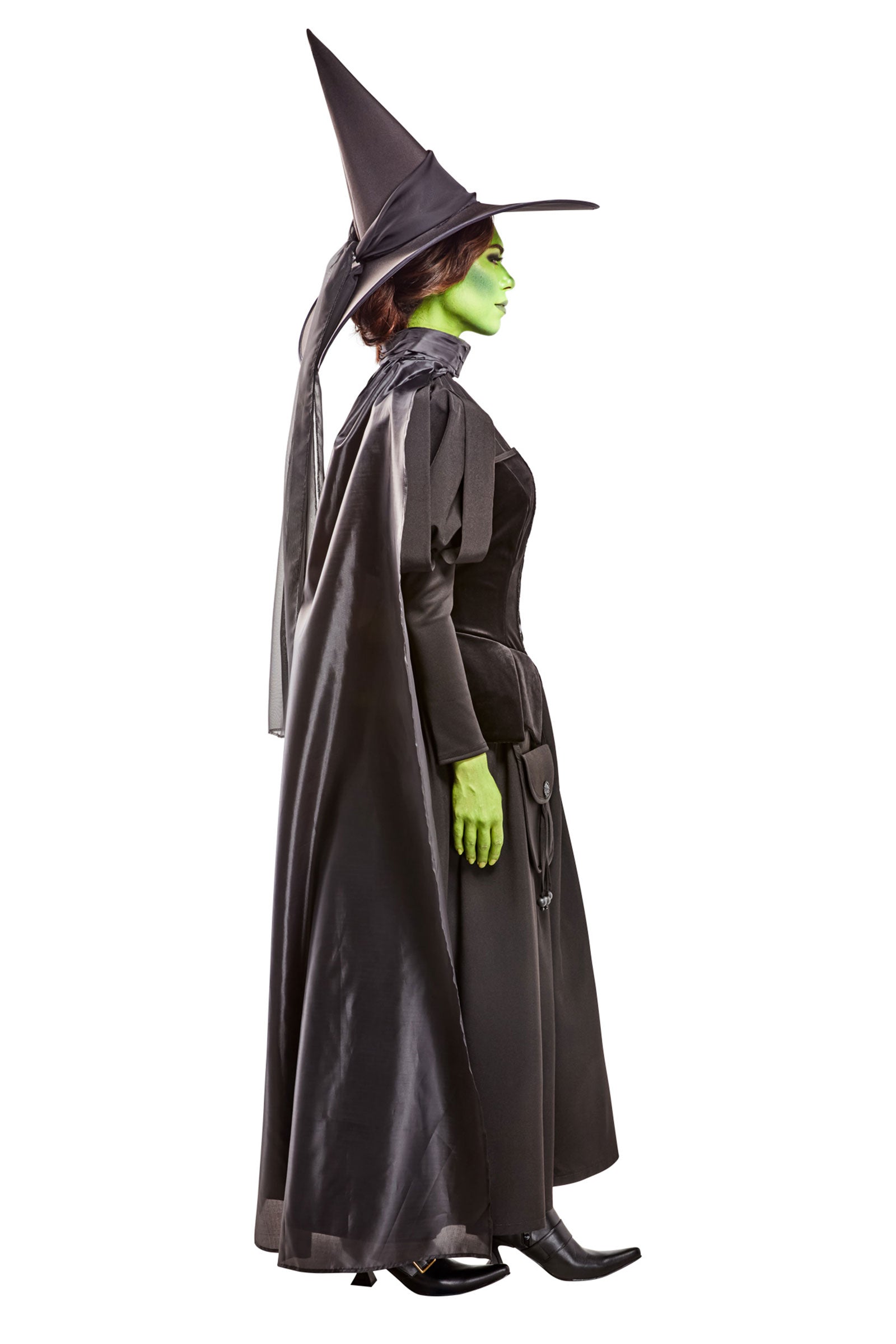 Wicked Witch Deluxe Adult Costume