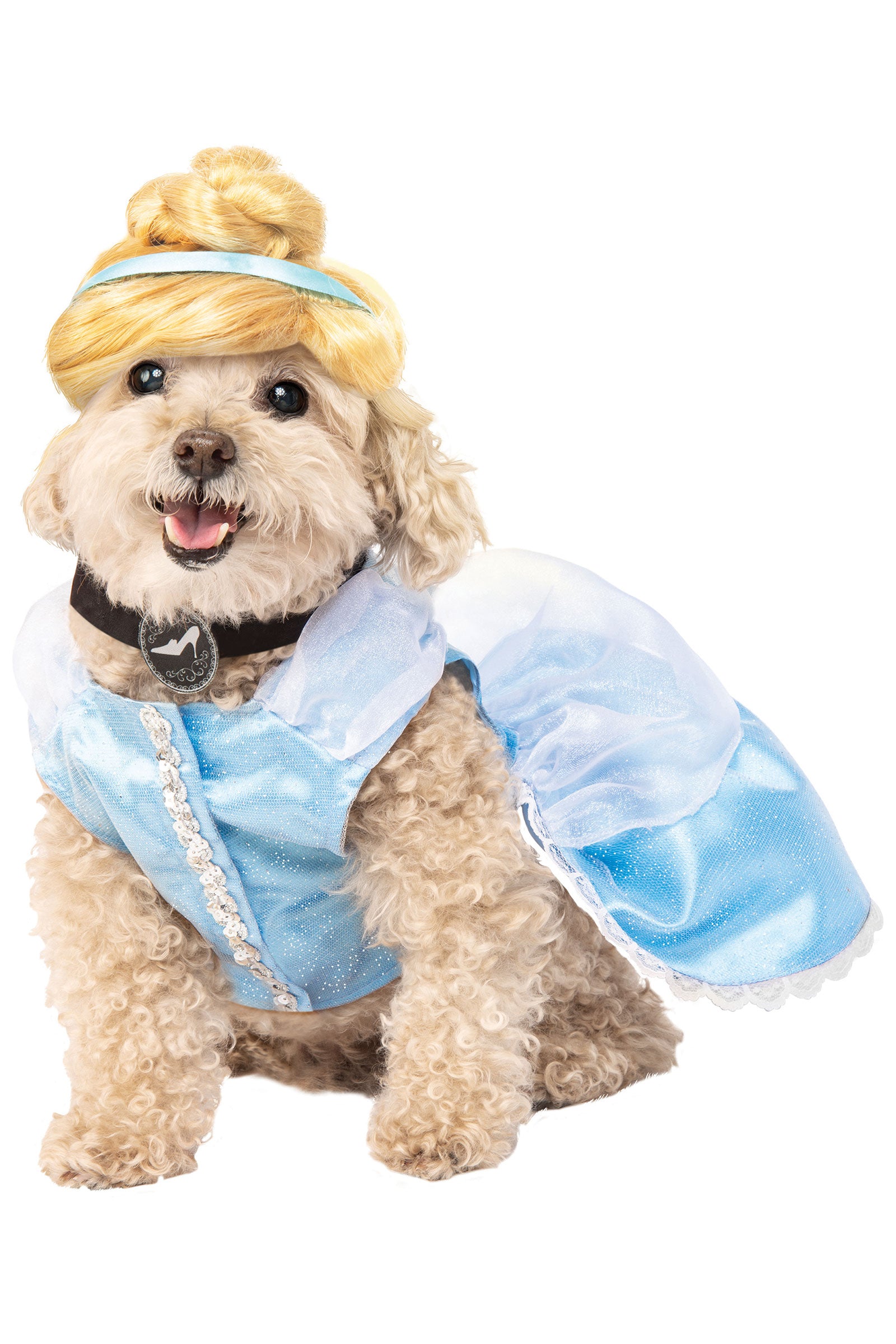Cinderella Pet Costume