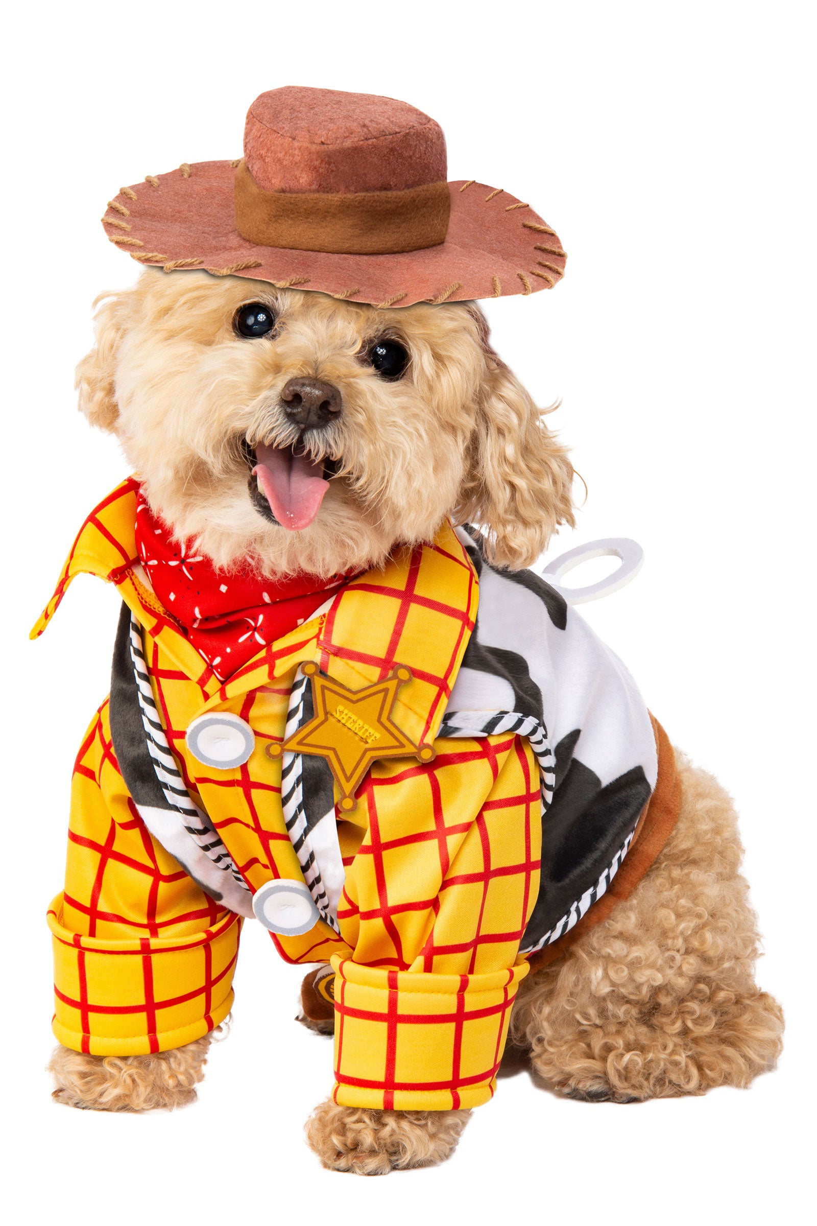 Woody Pet Costume