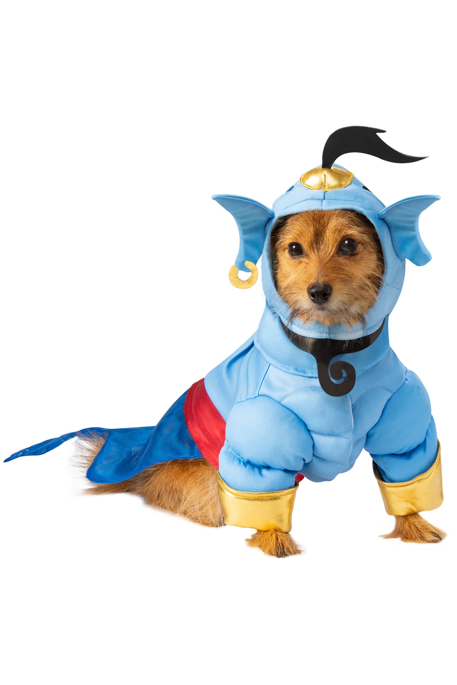 Genie Pet Costume