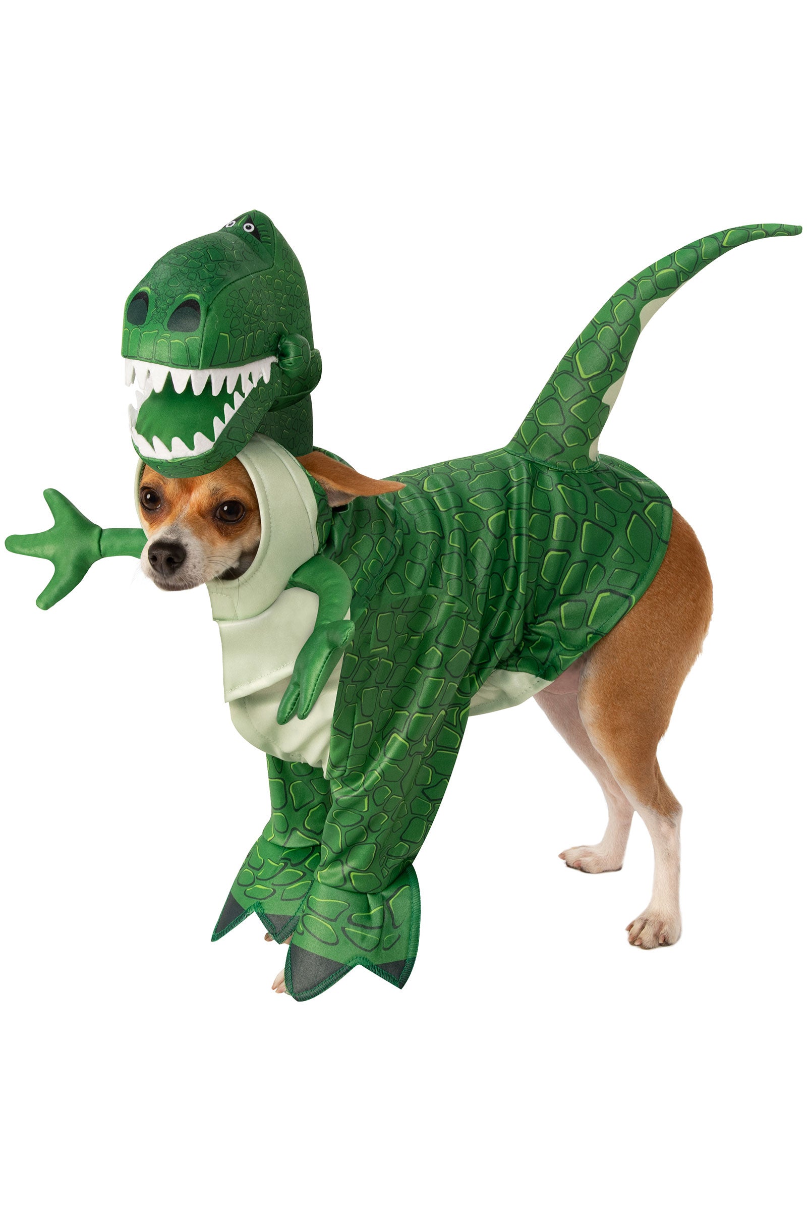 Rex Pet Costume