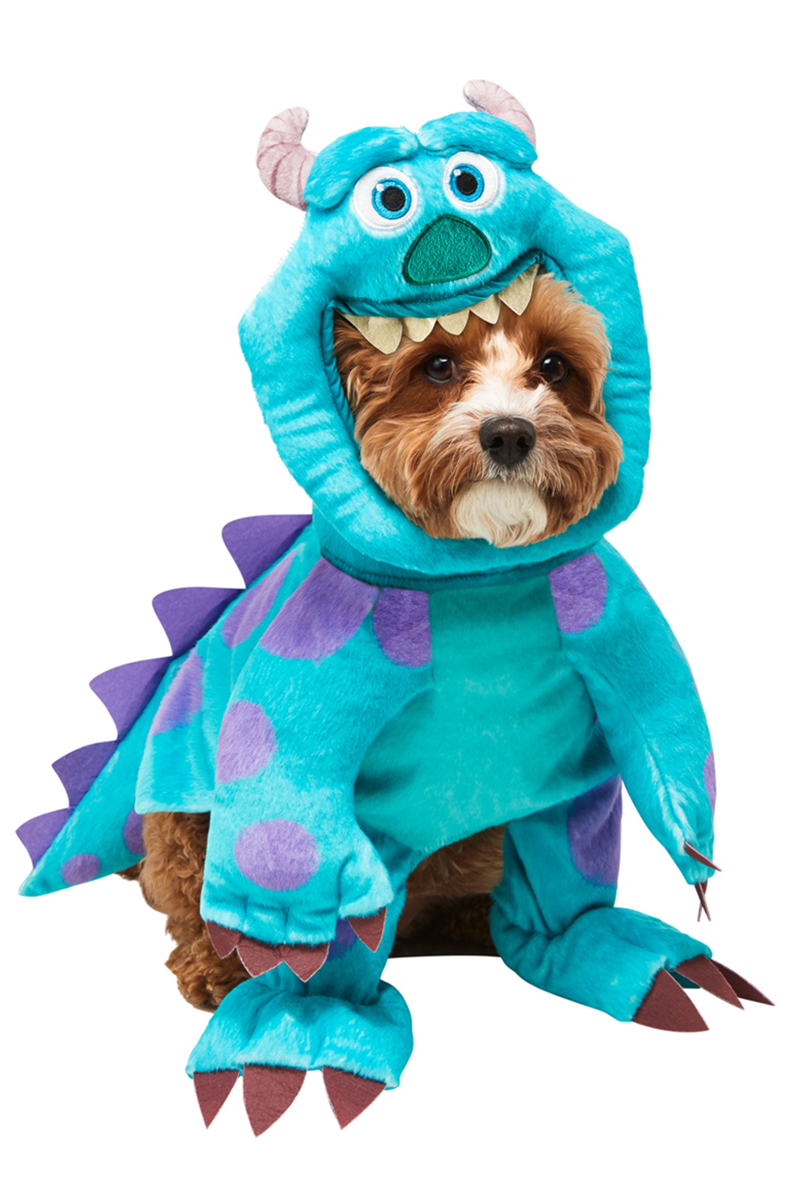 Disney Pets – Rubies II LLC.