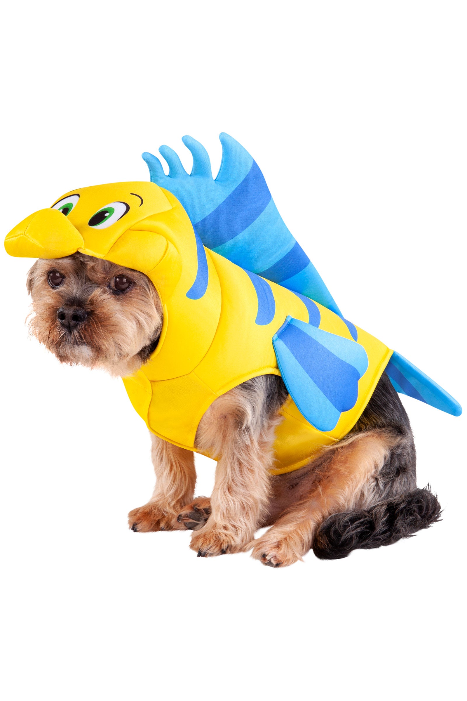 Flounder Pet Costume