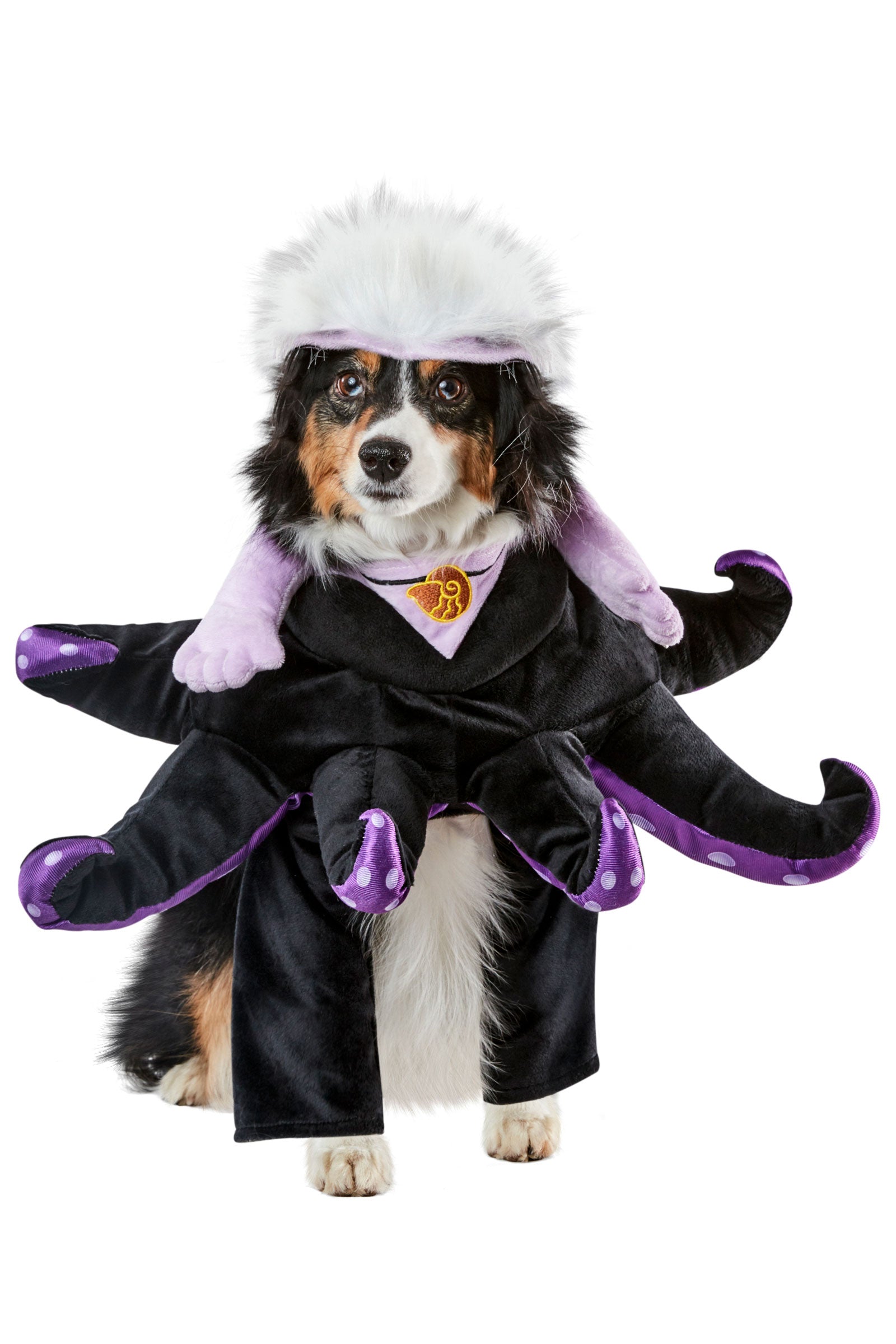 Ursula Pet Costume
