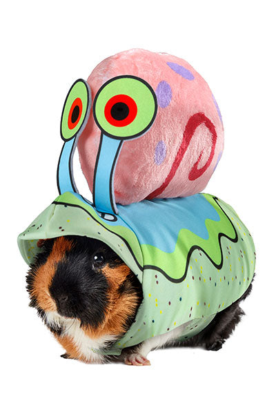 Gary Small Pet Costume