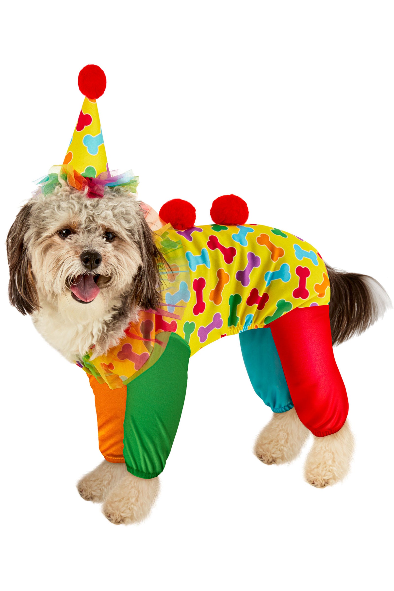 Clown Pet Costume