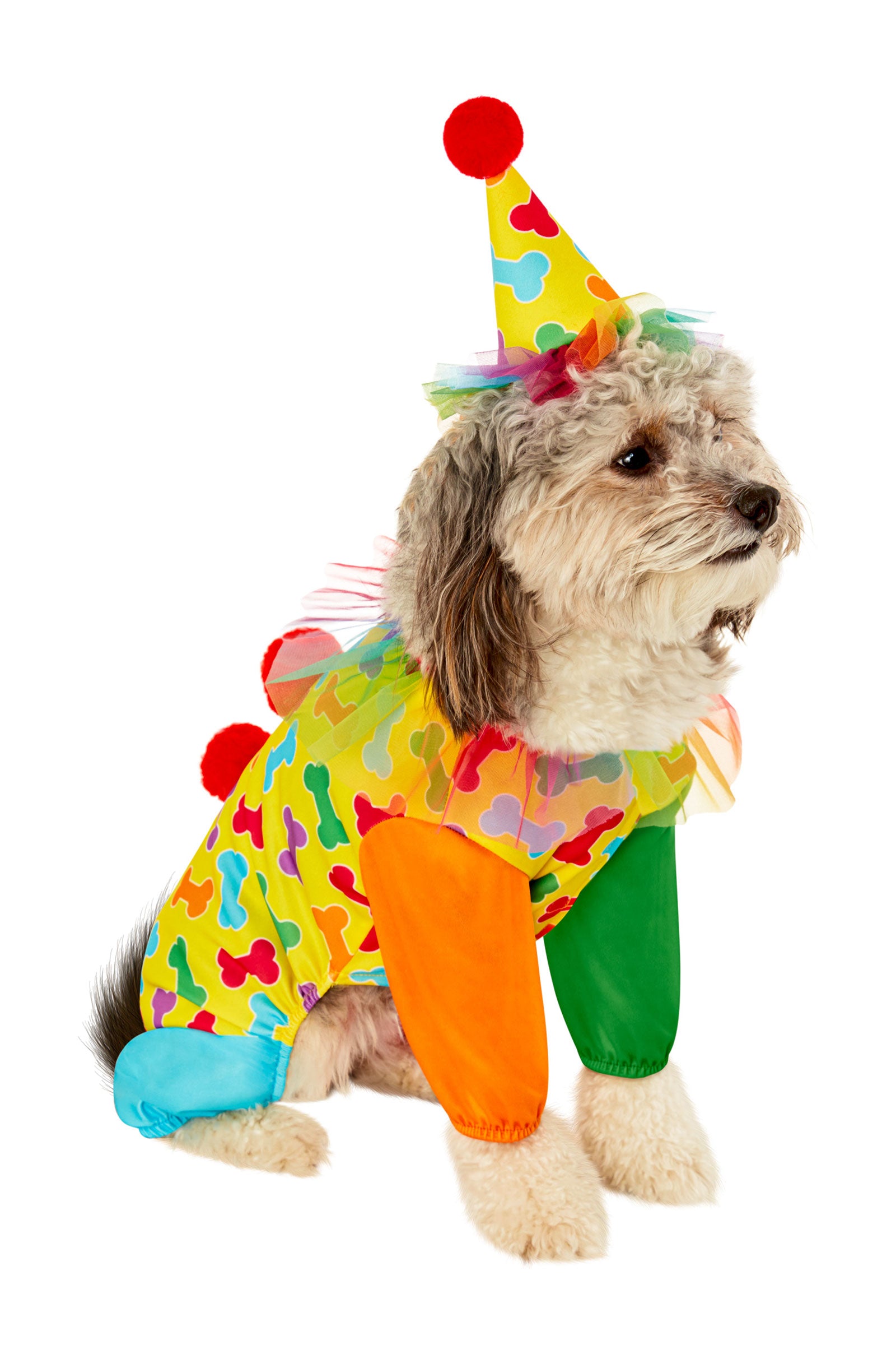 Clown Pet Costume