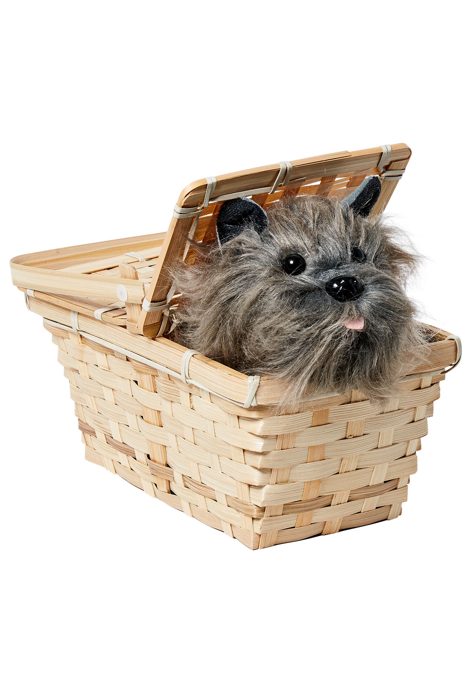 Toto In A Basket Deluxe