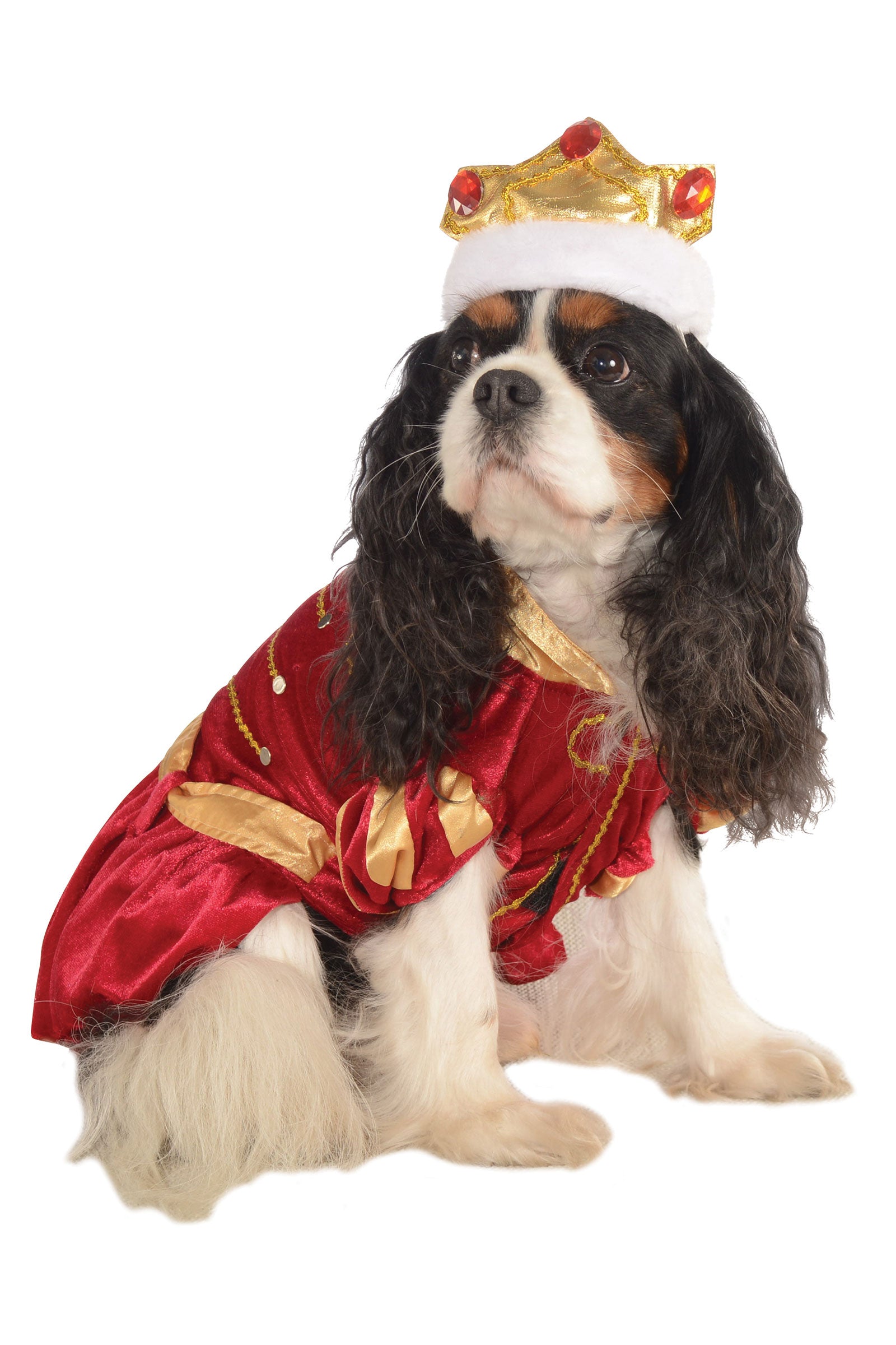 Kanine King Pet Costume